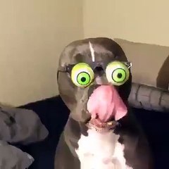 What you looking at? - Googly eyes!