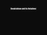 Read Dendrobium and Its Relatives Ebook Free