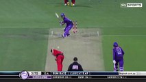 Best Shots of 2016 You Have Ever Seen- sport videos - Cricket videos