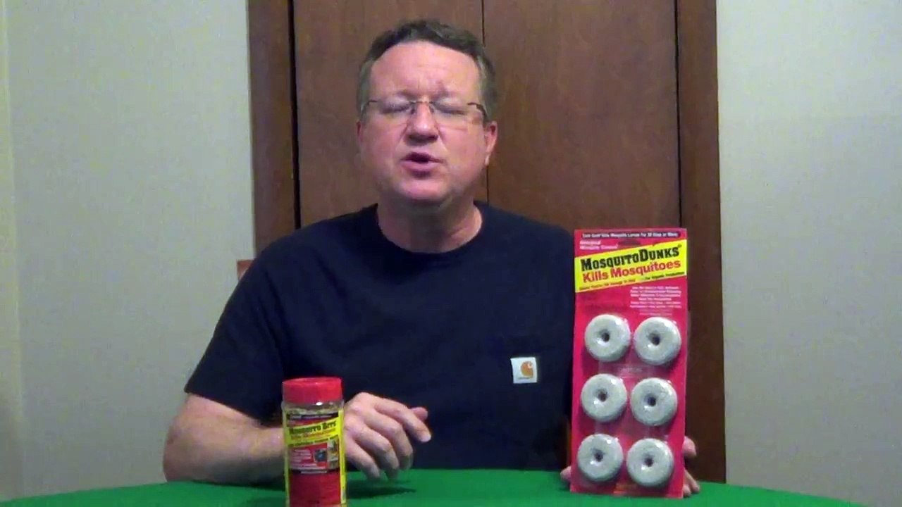 Mosquito Dunks vs Mosquito Bits