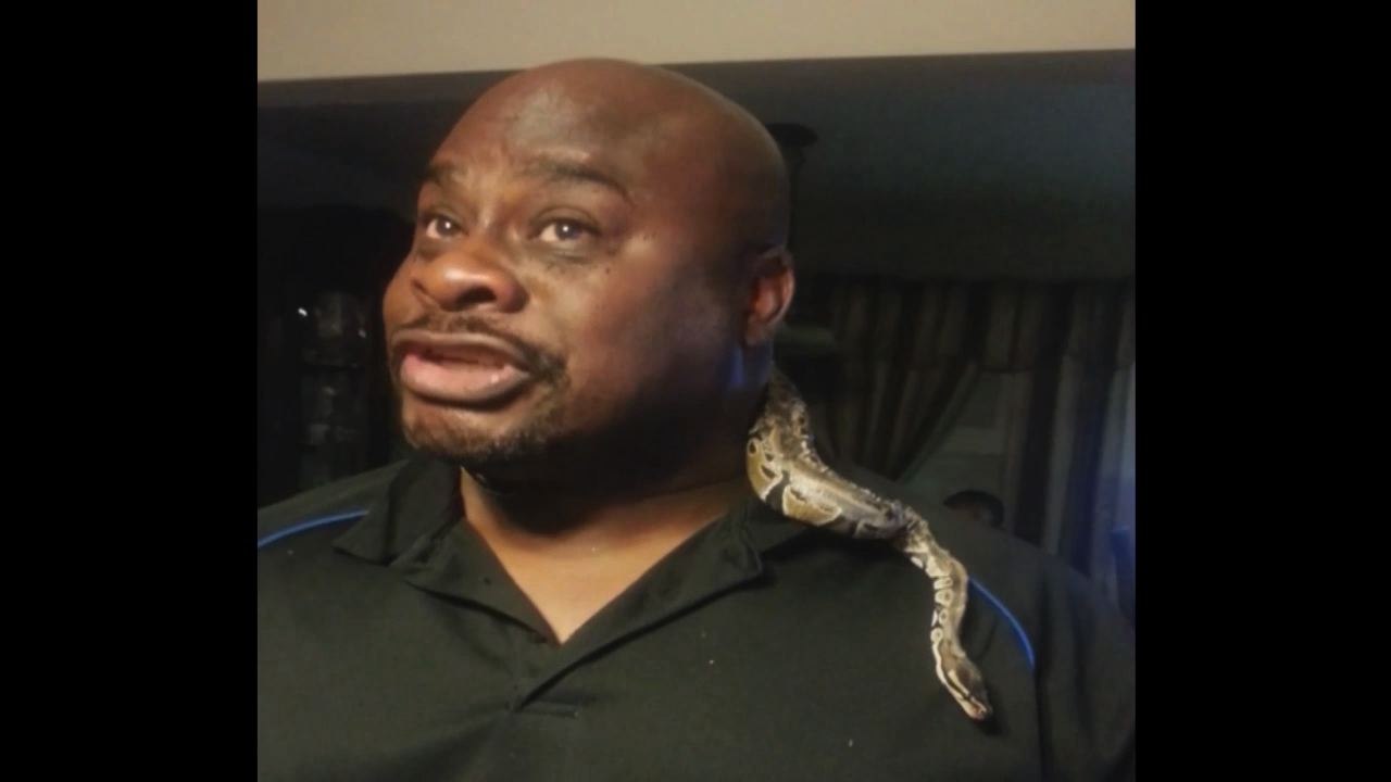 Snakes, Why Did It Have To Be Snakes?