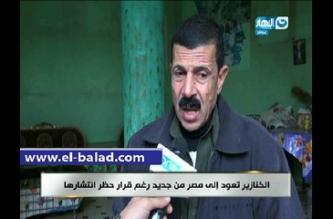 نقيب الزبالين: الخنزير المصري عنده مناعة لأنه بيأكل الزبالة
