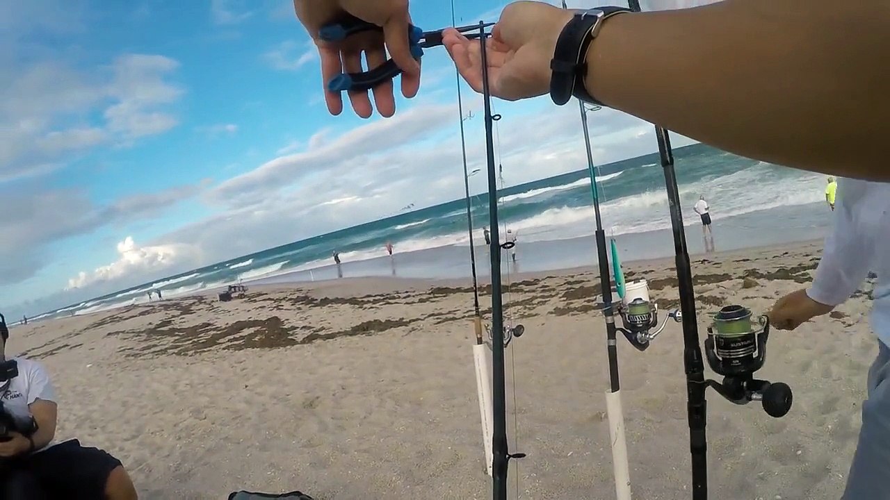 Crazy fishing on the ocean!!!! Giant Bluefish fishing )))))))))