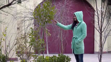 Defne ağacı (11-ci seriya)