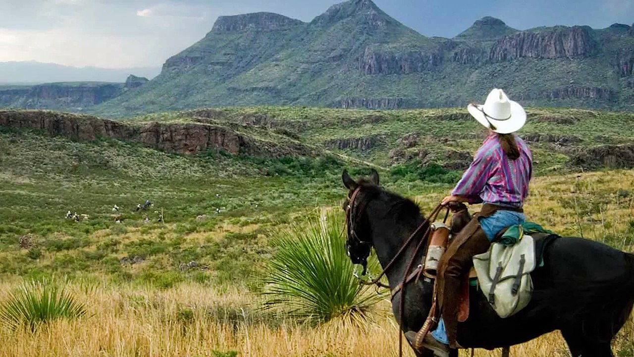 Visit Texas.