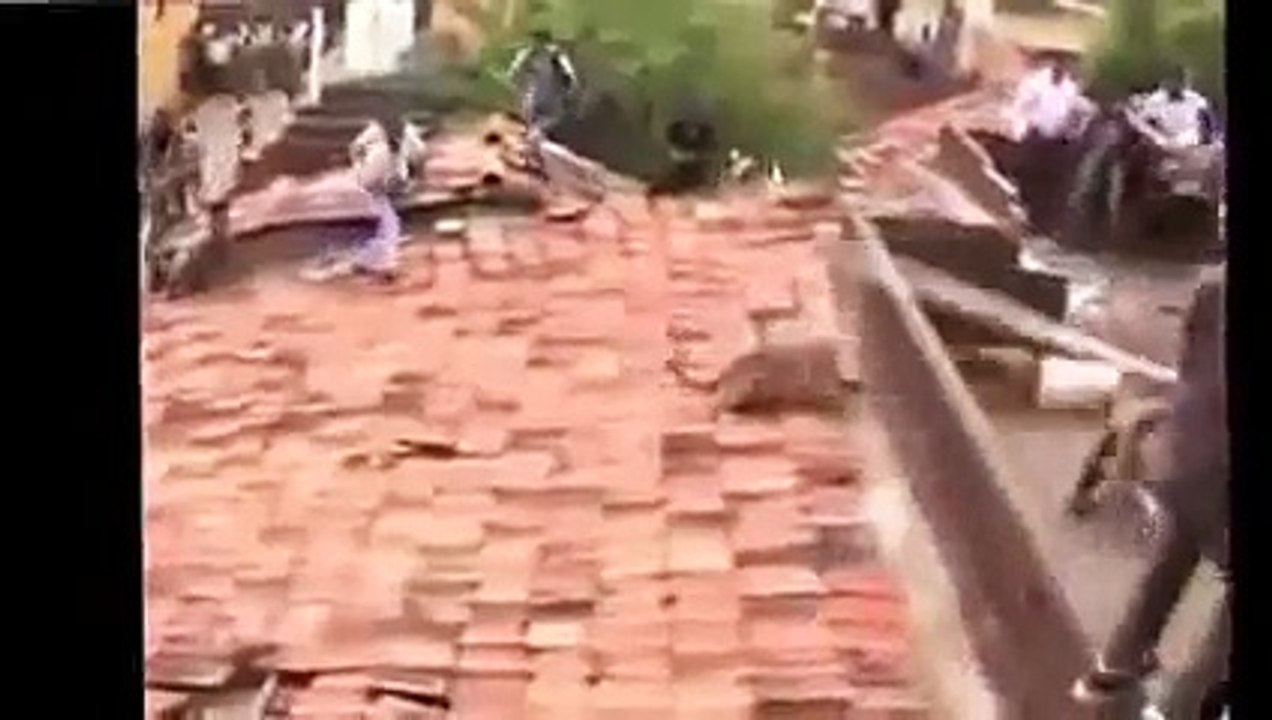 When Animals Attack Human A Live Compilation 2015 (+18)