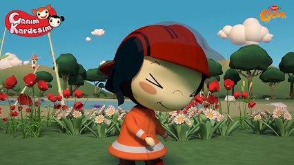 CANIM KARDEŞİM ŞARKILARI