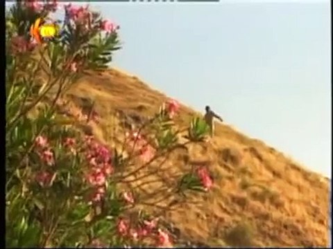 Sivan Perwer - Ey Ferat