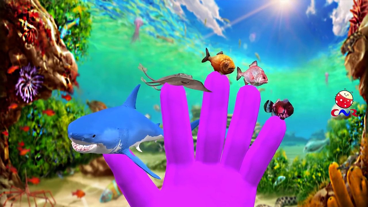 Finger Family Nursery Rhymes | Animal Finger Family Songs Collection | Learn Wild Animals