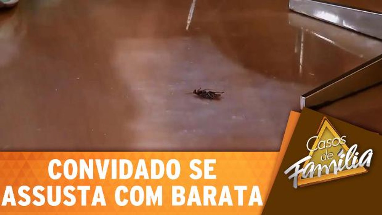Convidado se assusta com barata e Christina zoa muito