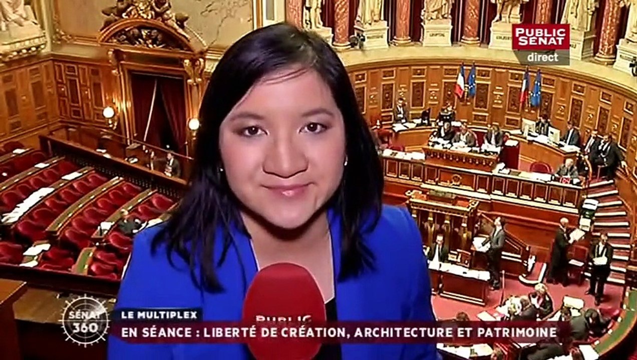 Position de Vincent Capo-Canellas (UDI-UC) sur la loi El Khomri dans l'émission "Sénat 360" du 17 février 2016