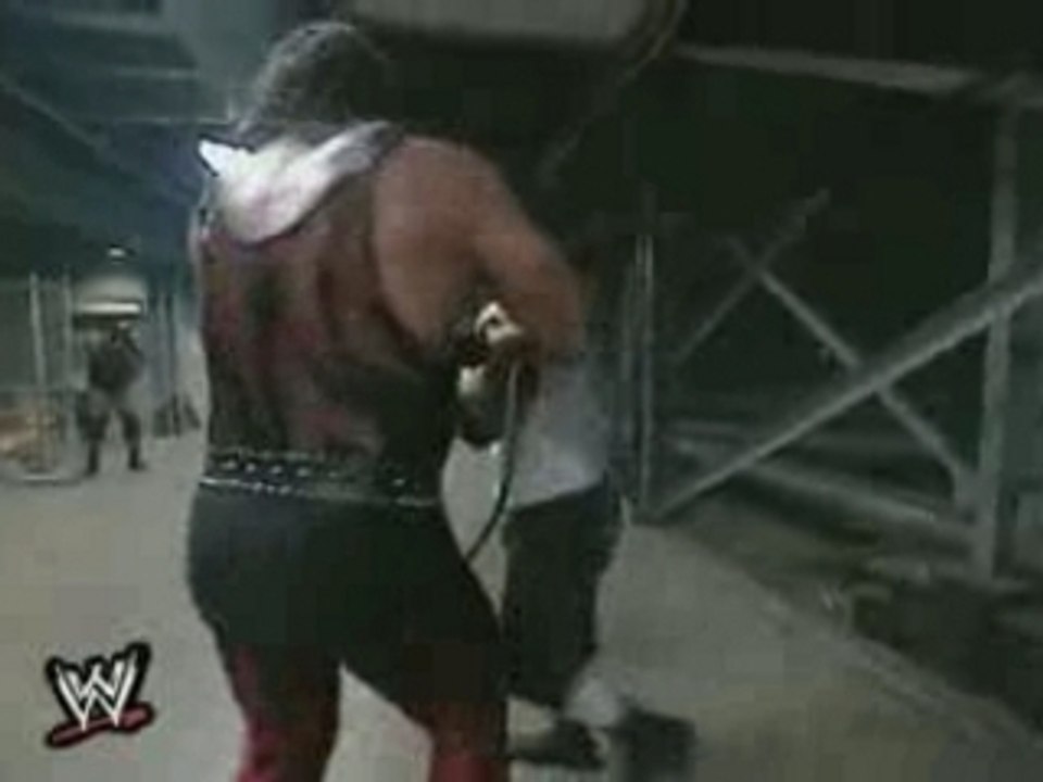 Tribute to the WWF/WWE