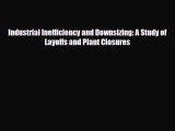 [PDF] Industrial Inefficiency and Downsizing: A Study of Layoffs and Plant Closures Read Full