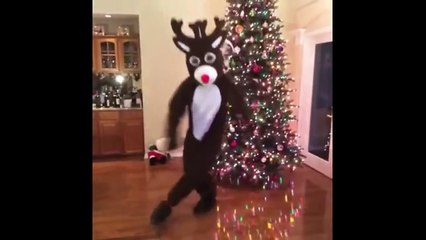 Try not to laugh or grin challenge - Funny videos 2016 - Funny pranks funny fails