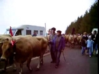 Transhumance Aubrac 2007
