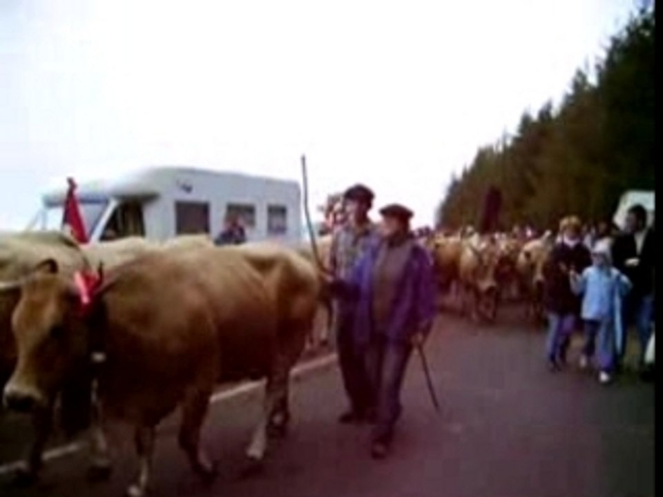 Transhumance Aubrac 2007