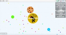 EXPERIMENTO SOCIAL / TROLLEANDO EN AGAR.IO 2016 PARTIDAS COMPLETÍSIMAS