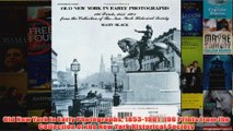 Download PDF  Old New York in Early Photographs 18531901 196 Prints from the Collection of the New FULL FREE