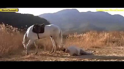 블랙젝と☆..TNT900、COM..™ぱ바카라후기す바카라라이브