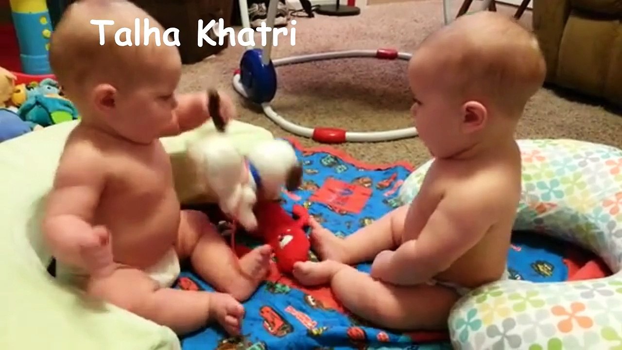 Twin Babies Fight for Toy Puppy