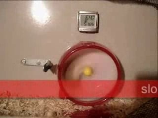 Hamster-super-rapide[1]