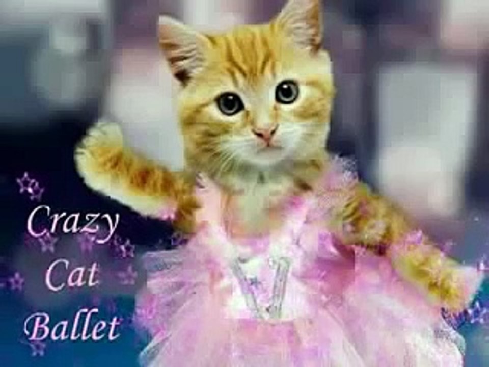 Crazy Kitty Ballet - Nutty Nutcracker, Act I!+ XD -