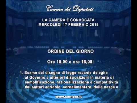 Roma - Camera - 17^ Legislatura - 571^ seduta (17.02.16)