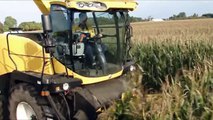 Loonbedrijf Zinger uit Brunsting in de maïs met New Holland FR Trekkerweb