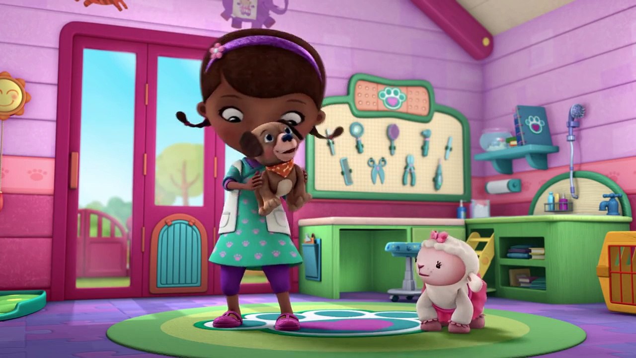 Evcil Hayvanlarınızı Veterinere Götürün! Şarkısı!