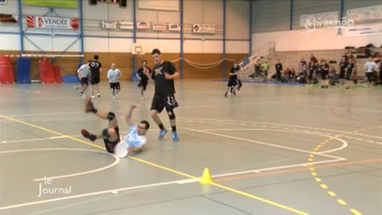 Sport. Championnat régional Ultimate indoor DR1 (Vendée)