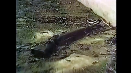 강원랜드게임【 TNT900。COM 】로얄드림카지노싸이트 호게이밍