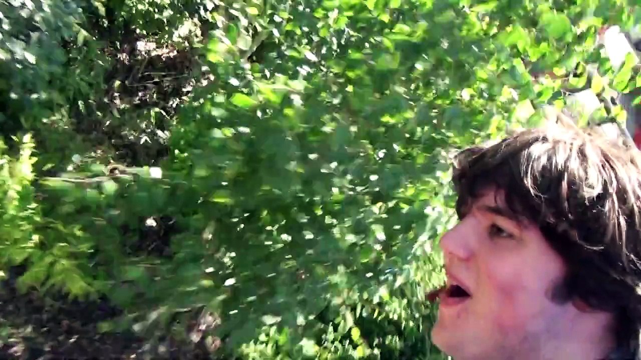 Dragons Fury Chessington World of Adventures on ride POV