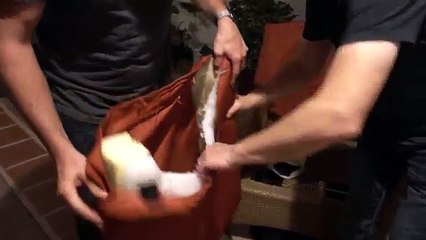 HOW TO DO HUMAN CHAIR PRANK! featuring UCMAGIC - HOW TO PRANK