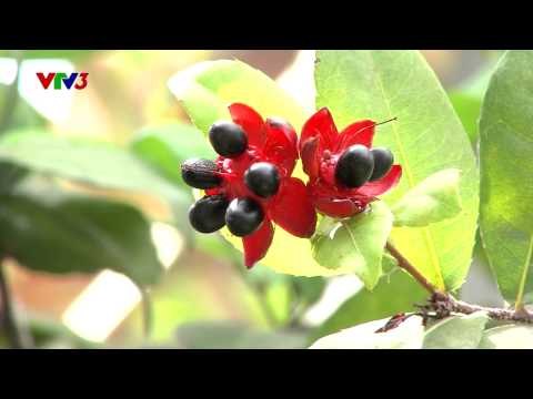 NHÂN TỐ BÍ ẨN ( SEASON 1) - VÒNG HỘI NGỘ TẬP 1: CÂU CHUYỆN VỀ THÍ SINH ĐINH HUY