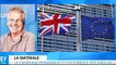 Brexit : il faut dire "niet" aux Anglais !