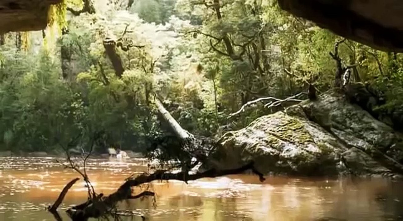 film complet dinosaures francais
