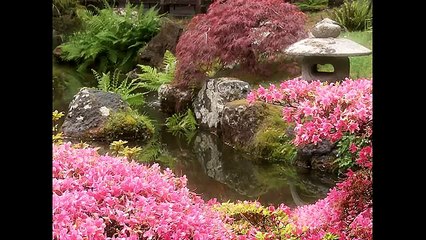 " ZEN "  music by hector di donna (World Music 720p)