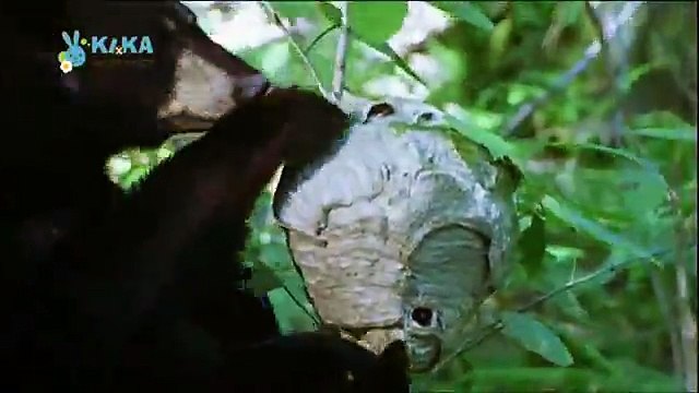 Mama Mirabelles Tierkino 22 Niemand ist perfekt!