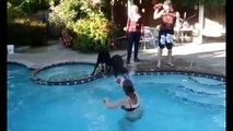 Funny Dog In Pool Dump a day funny dog pool pushed falling