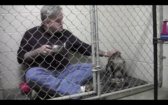 Un vétérinaire mange dans une cage avec un jeune chien craintif pour le réconforter