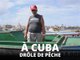 Cuba et ses pêcheurs, à l'ombre des récits d'Hemingway