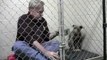 Si chiude in una gabbia con un Pittbull malridotto: il suo gesto gli salverà la vita