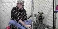 Si chiude in una gabbia con un Pittbull malridotto: il suo gesto gli salverà la vita
