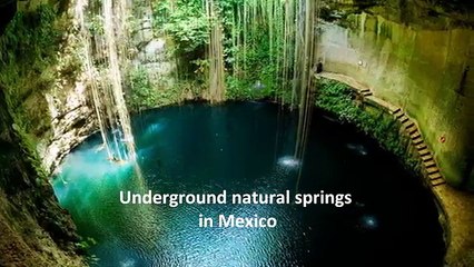 Amazing Things You Wouldn't believe exist in nature- Nature of the world