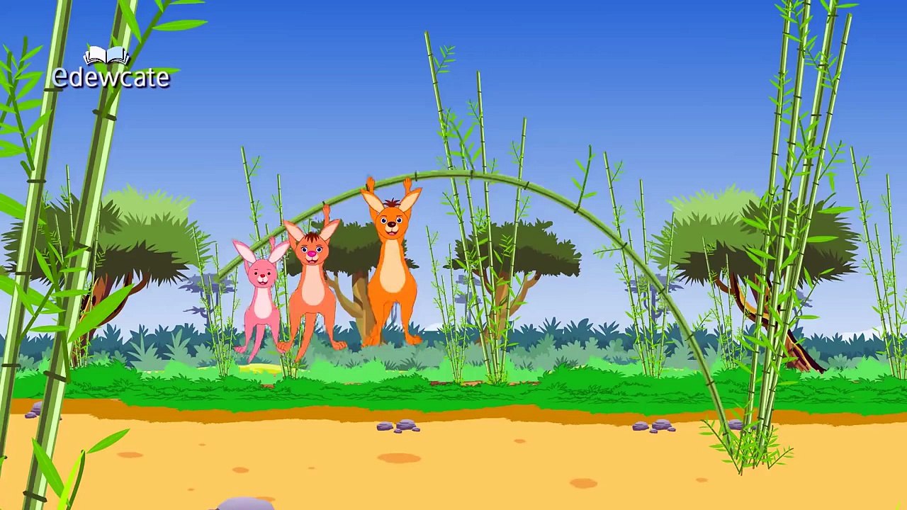 Finger Family Collection | Collection of Ten Animal Finger Family Rhymes | Vol 3