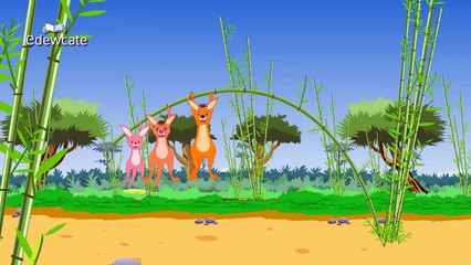 Finger Family Collection | Collection of Ten Animal Finger Family Rhymes | Vol 3