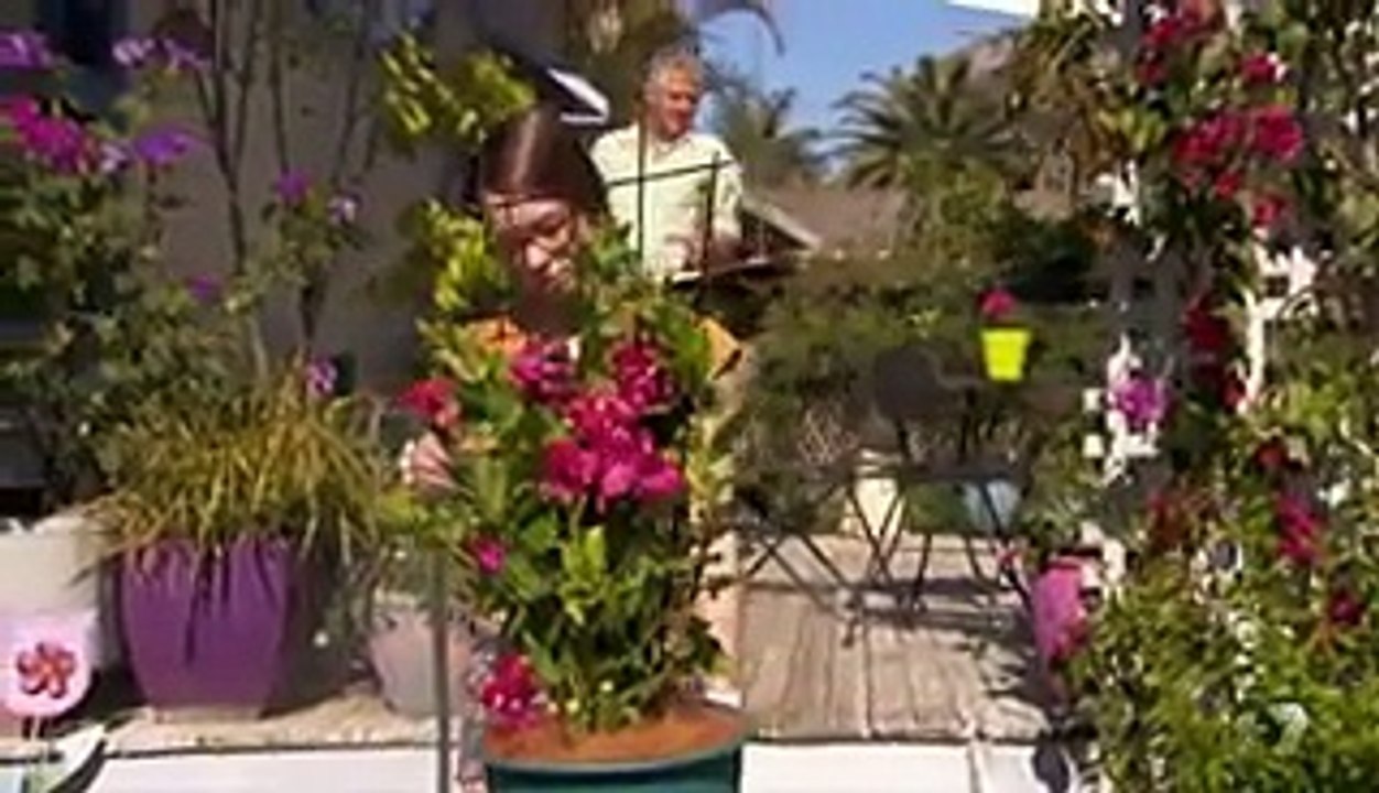 Home and Away - Episode 6364 - 18th February 2016 (HD)