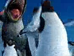 Penguins Da Shugal