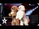 Such a Lovely Dog Acrobatic - Lovly Dog - AUDITION 5 - Indonesia's Got Talent [HD]
