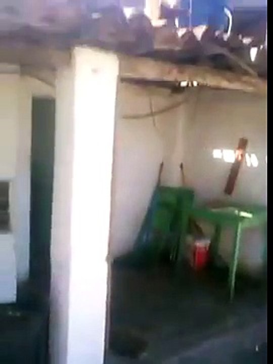 Un singe avec un gros couteau... Bad bad monkey!!!